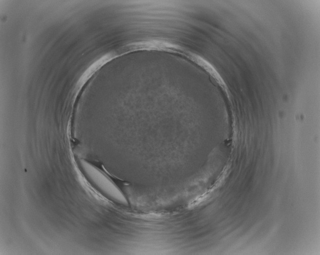 X0000083650946200702261112