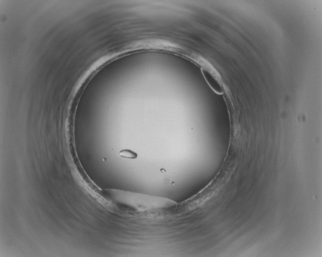 X0000083650947200702261112