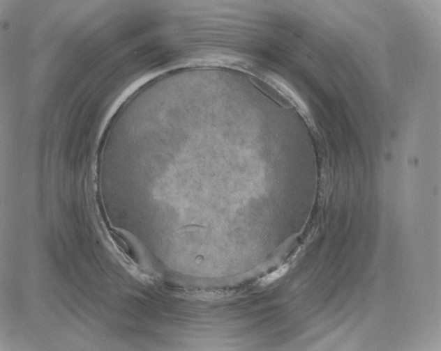 X0000083650948200702261113