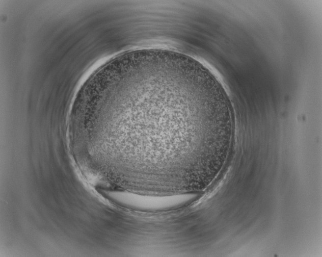 X0000083650949200702261113