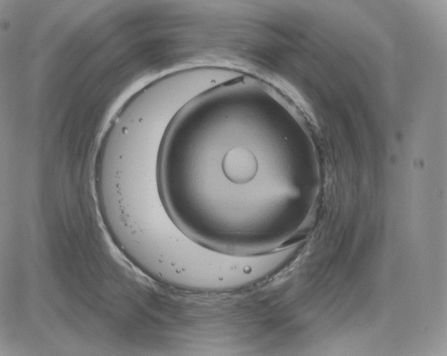 X0000083650950200702261113