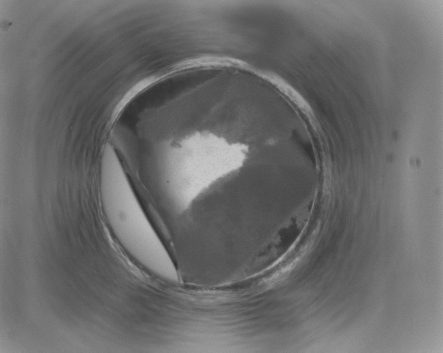 X0000083650953200702261113