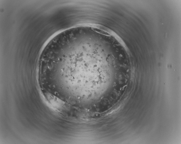 X0000083650955200702261113