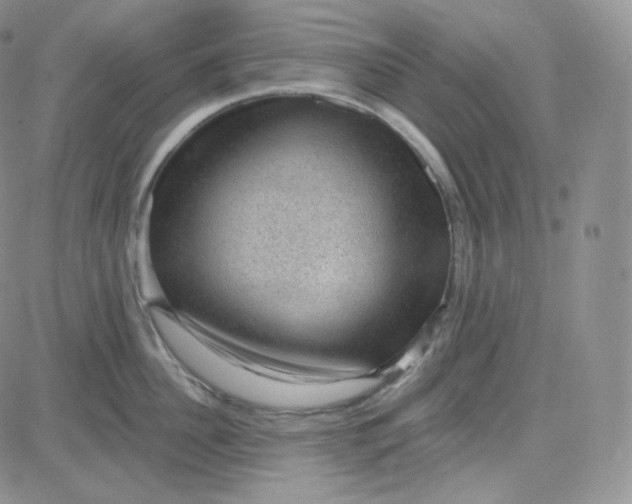 X0000083650956200702261113