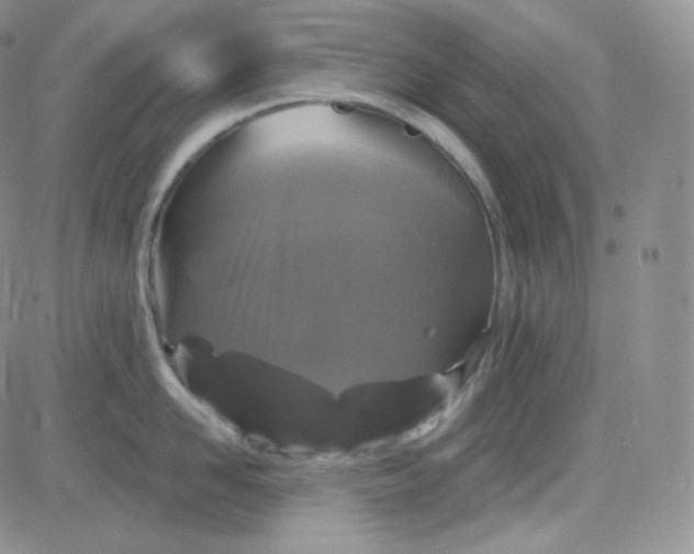 X0000083650958200702261113