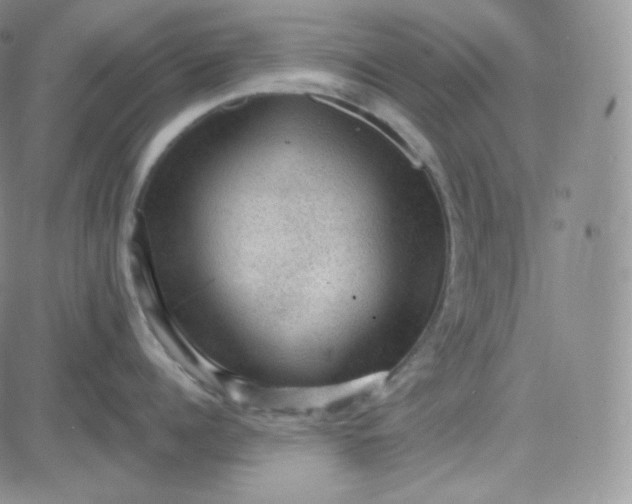 X0000083650960200702261113