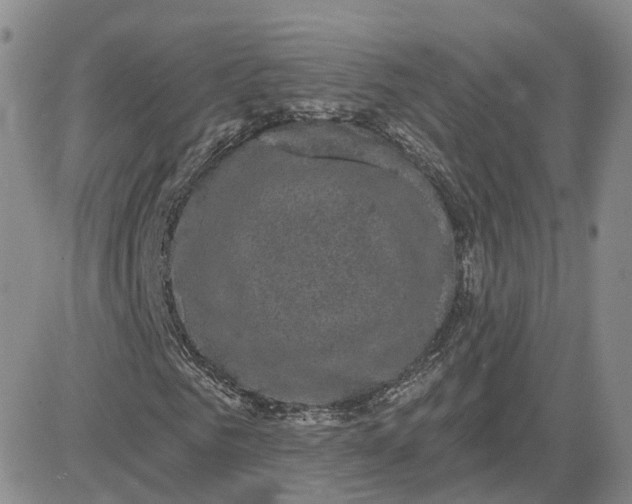 X0000083650961200702261112