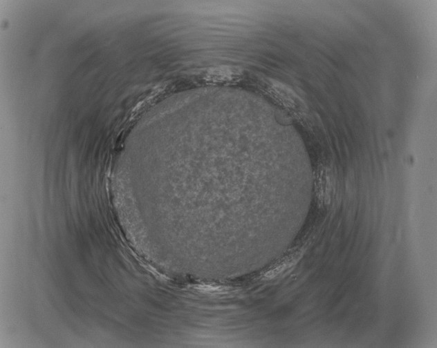 X0000083650962200702261112