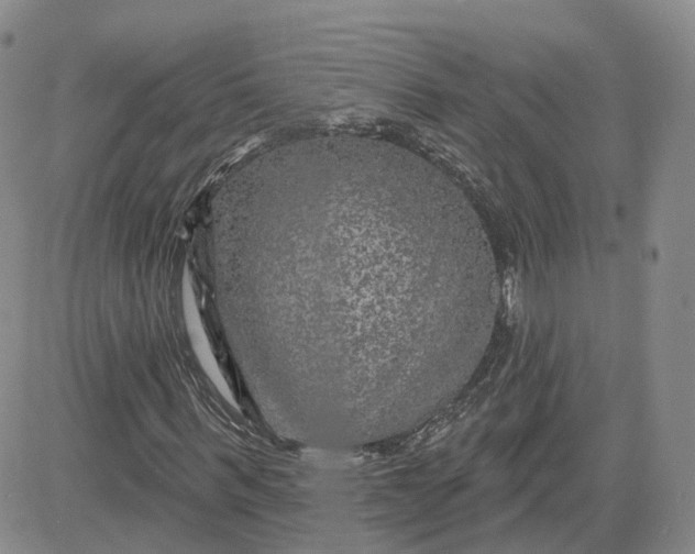 X0000083650963200702261112