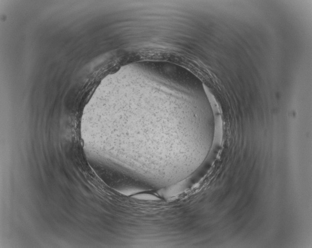 X0000083650964200702261112