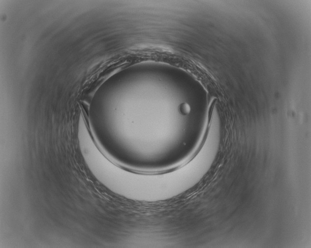 X0000083650965200702261112