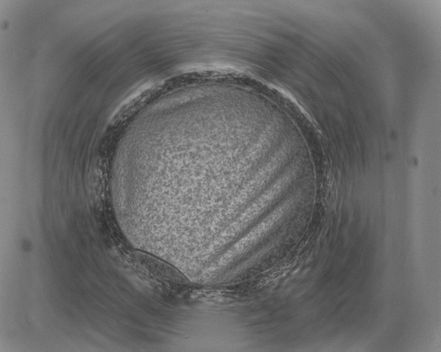 X0000083650967200702261112