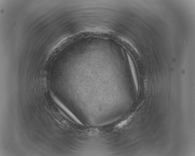 X0000083650968200702261112