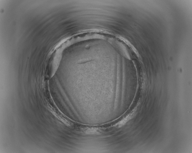 X0000083650969200702261112