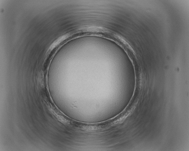 X0000083650970200702261112