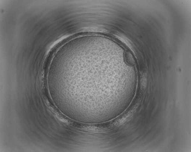 X0000083650971200702261112