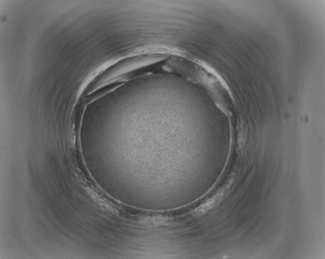 X0000083650973200702261112