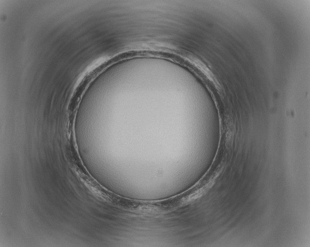 X0000083650974200702261112