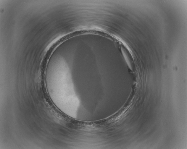 X0000083650975200702261112