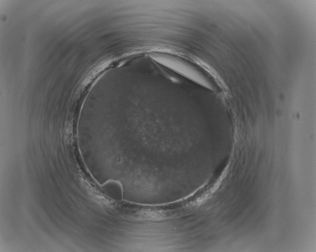 X0000083650977200702261112