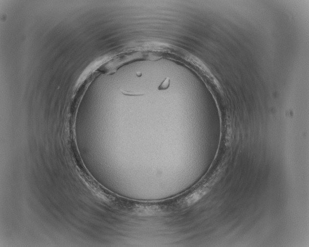 X0000083650978200702261112