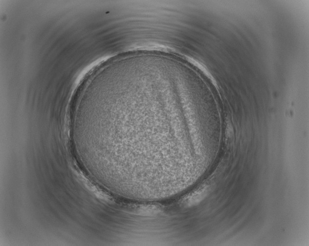 X0000083650979200702261112