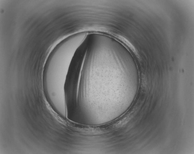 X0000083650980200702261112