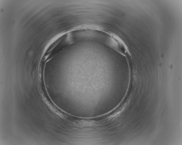 X0000083650981200702261112