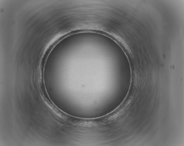 X0000083650982200702261112