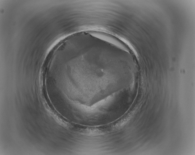 X0000083650983200702261112