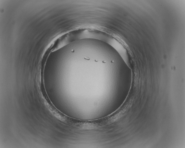 X0000083650984200702261112