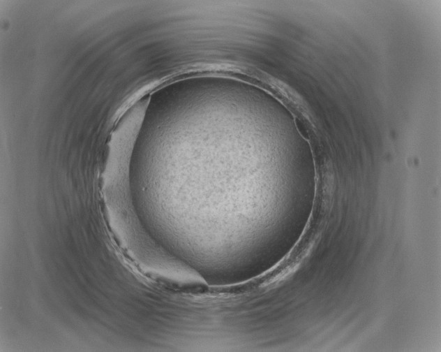 X0000083650985200702261112