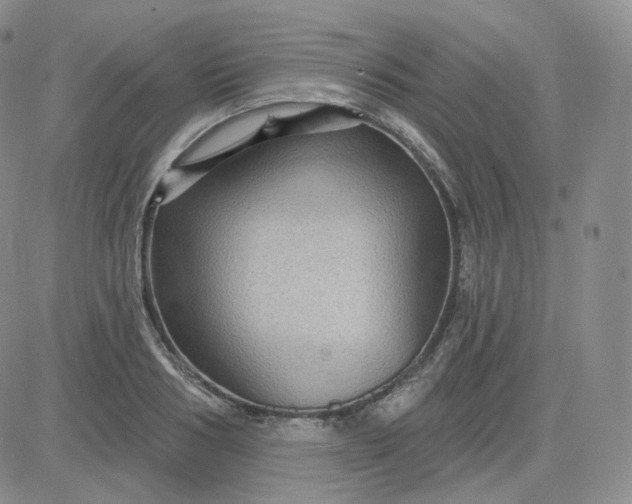 X0000083650986200702261111