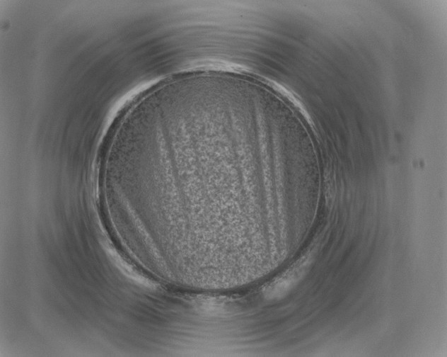 X0000083650987200702261111