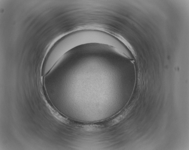 X0000083650988200702261111