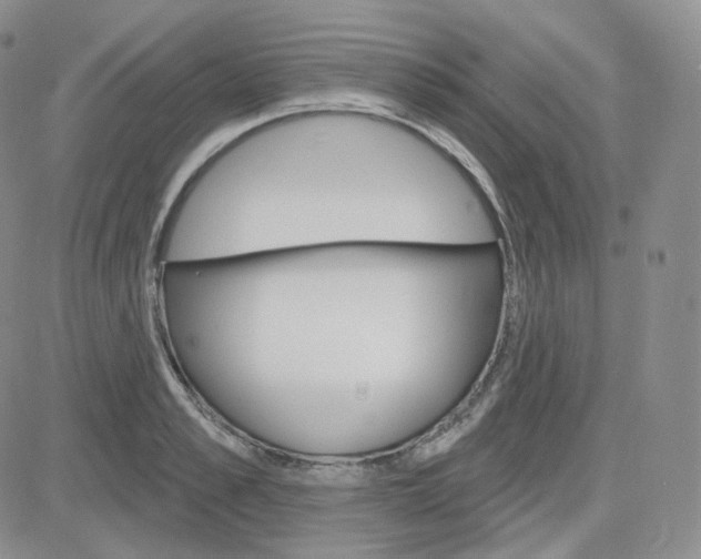 X0000083650989200702261111