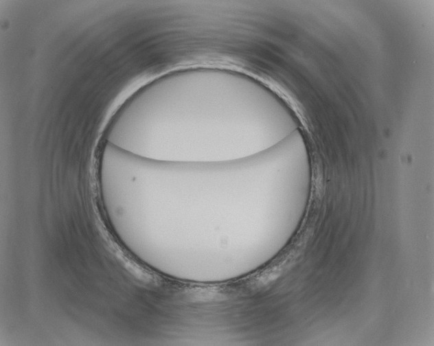 X0000083650990200702261111