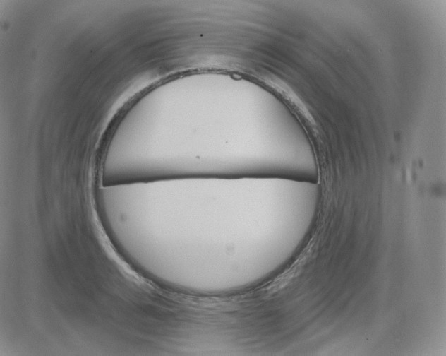 X0000083650991200702261111