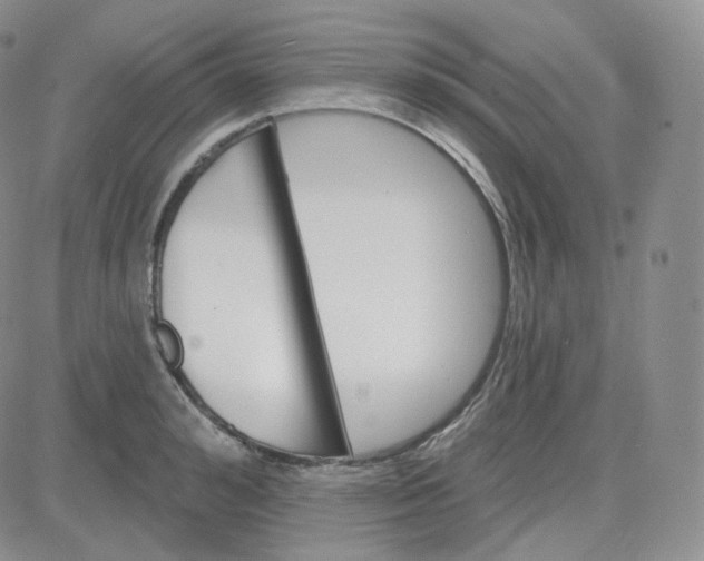 X0000083650992200702261111