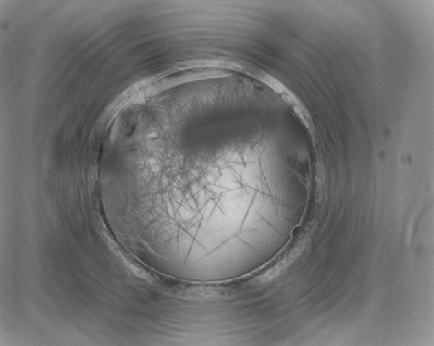 X0000083650993200702261111