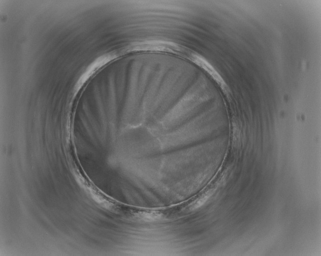 X0000083650994200702261111