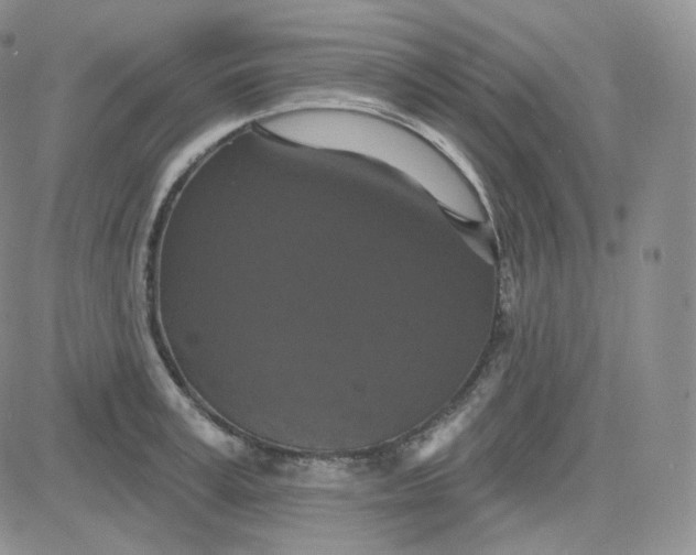 X0000083650995200702261111