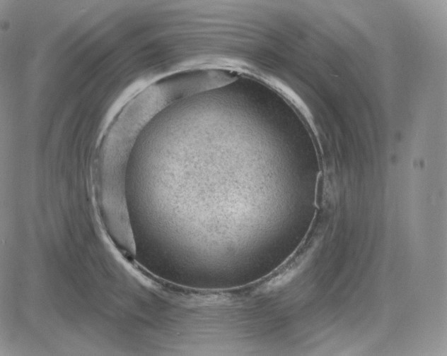 X0000083650997200702261111