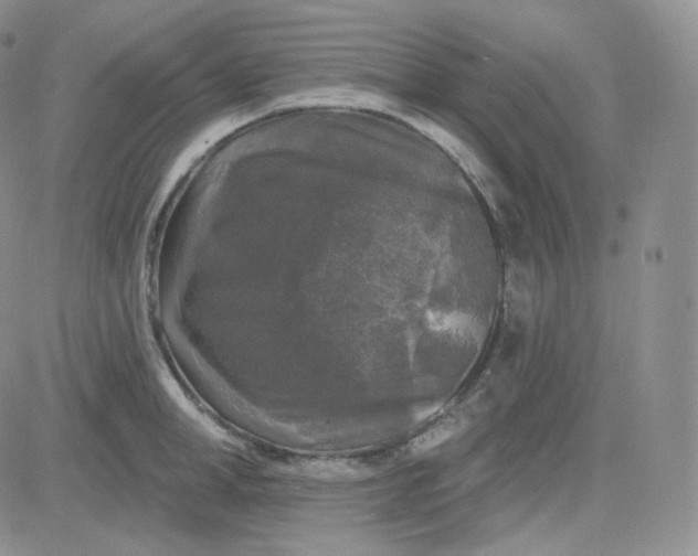 X0000083650998200702261111