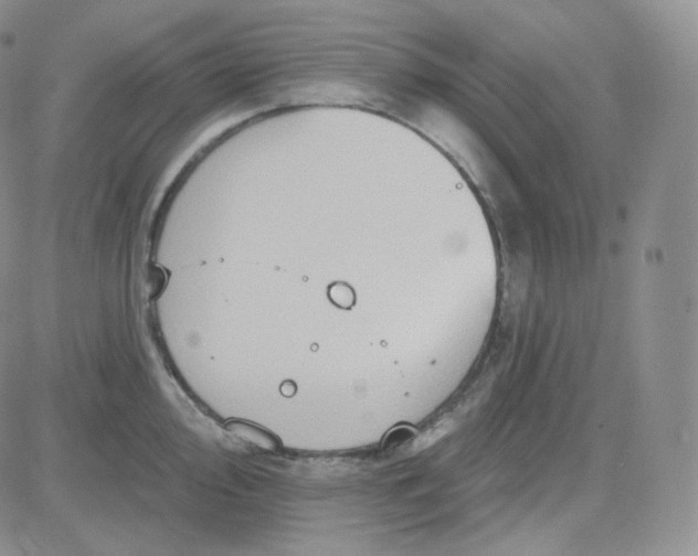 X0000083651000200702261111