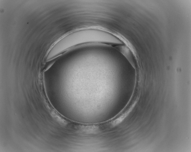 X0000083651001200702261111