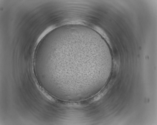 X0000083651002200702261111