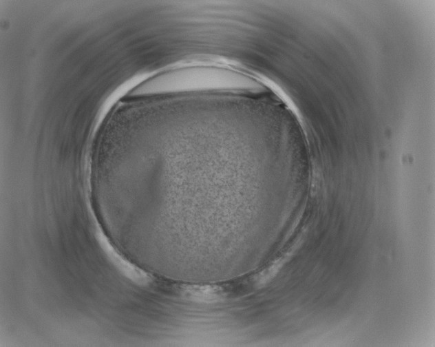 X0000083651003200702261111