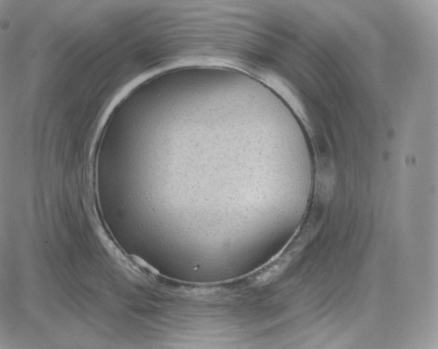 X0000083651004200702261111