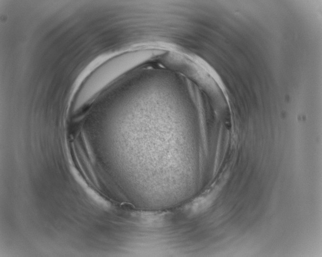 X0000083651005200702261111